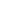 Made In 1981 Retro Logo