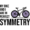 Professional Bicycle Acrobatics Equilibrium Art 