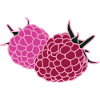 Raspberry Duo Pop Art