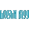 Dream Bigg