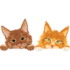 Peeking_cute_two_ginger_cats