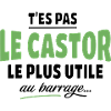 The Green Beaver Typography