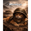 Monday Cat