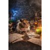 Chico11: Mad Scientist