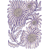 Purple Daisy Botanical Line Art