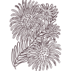 Monochrome Daisy Bloom