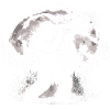 Bigfoot spielt Trompete