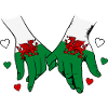 Wales_Flagge_Haendehalten
