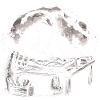 Bigfoot Architect