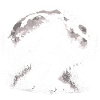 Bigfoot Skateboard