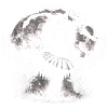 Bigfoot Ballerina