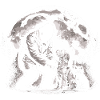 Bigfoot Vet