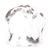 Bigfoot Darts
