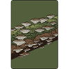 Champignons des bois sur tronc mousseux