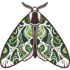 Verdant Leafwing Moth