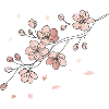Illustrazione della linea secondaria di Cherry Blossom