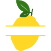 Lemon Split Frame