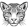 Leopard face