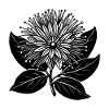 Lehua-Blume