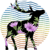 Cerf