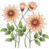 Fleur