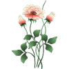 Blumen