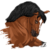 La tête d'un cheval Lusitanien bai