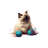 Funny Burmese Sacred Cat Pajamas