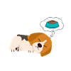 Dog Pajamas Beagle Humor