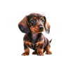 Funny Dachshund Dog Pajamas