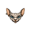 Pyjama Chat Sphynx Humour