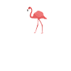 Flamingos Machen Keine Hausarbeit / Flamingo