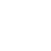 Griller