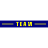 Team Stroke