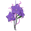 Flower purple with pink purple aspects