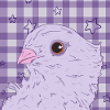pretty pink purple dove