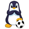 Calciatori dei Penguini Sport