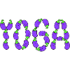 Eggplant yoga typography