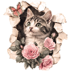 Chat et papillon