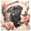 Pug with butterfly