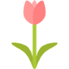 Tulip Silhouette in Bloom