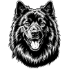 Eurasier | Schwarz