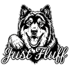 Eurasier | Fluffy