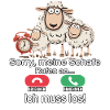 Désolé, mes moutons appellent