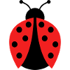 ladybug