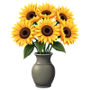 sunflowers