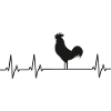 Chickens Fans - - Rooster - Chicks