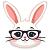 Rabbit with glasses