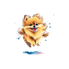 Lustige Pomeranian-Spitzhunde-Pyjamas
