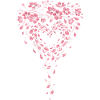 Cherry Blossom Sakura Cherry Blossom